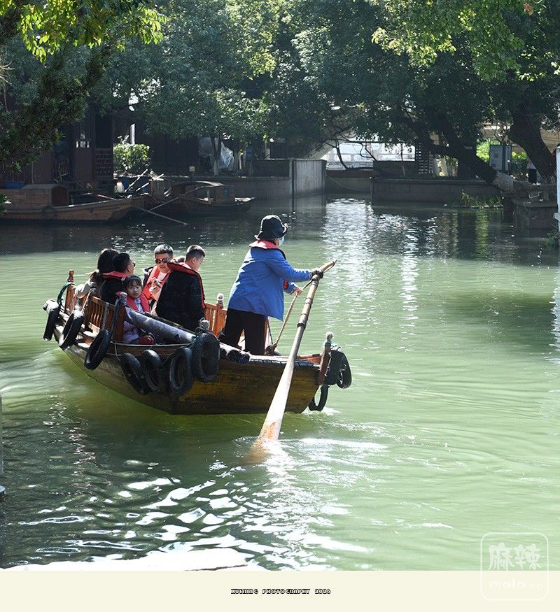 _DSC2739 ����.jpg