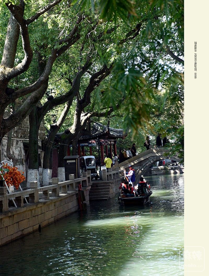 _DSC2716 ����.jpg