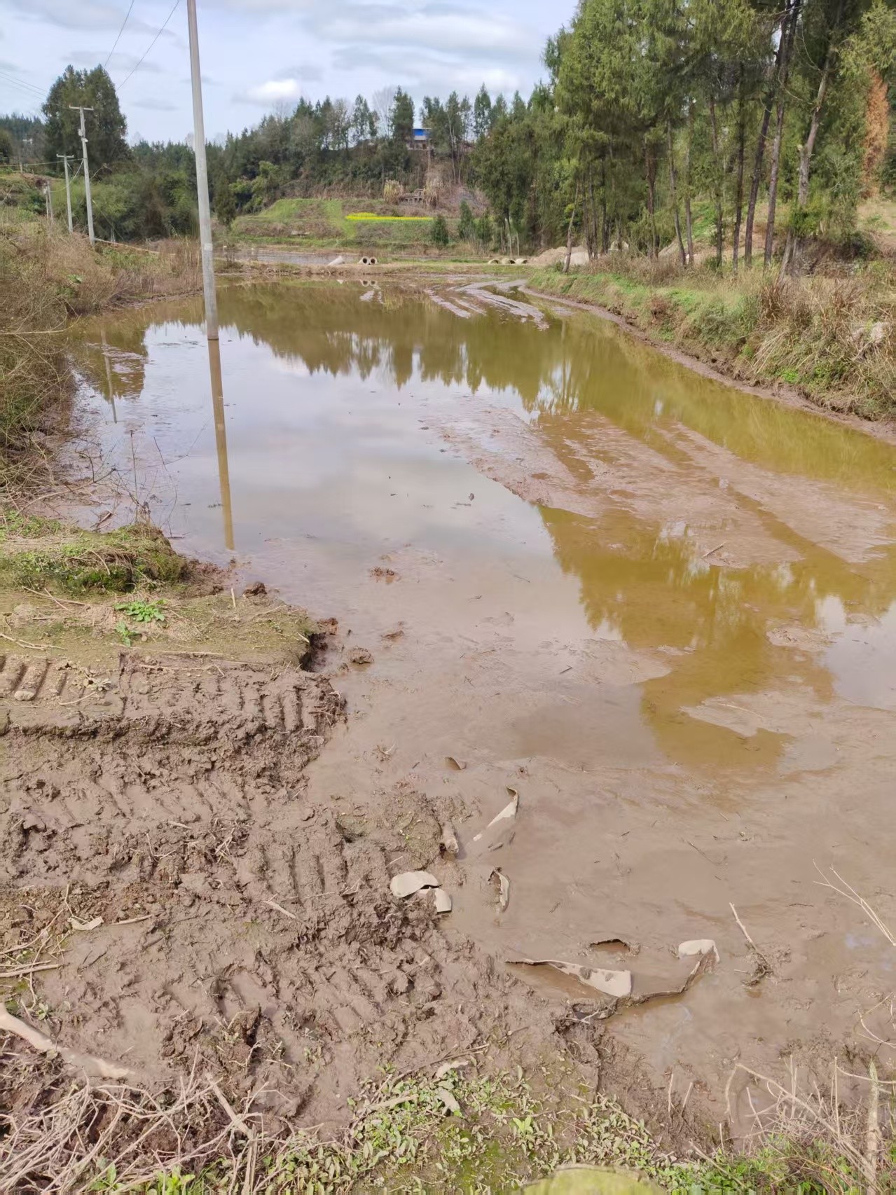 ������ͼƬ