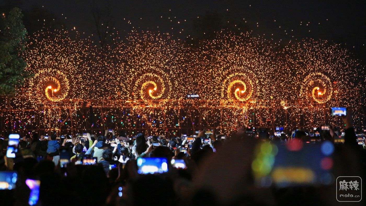 2O3A8540 ����.jpg