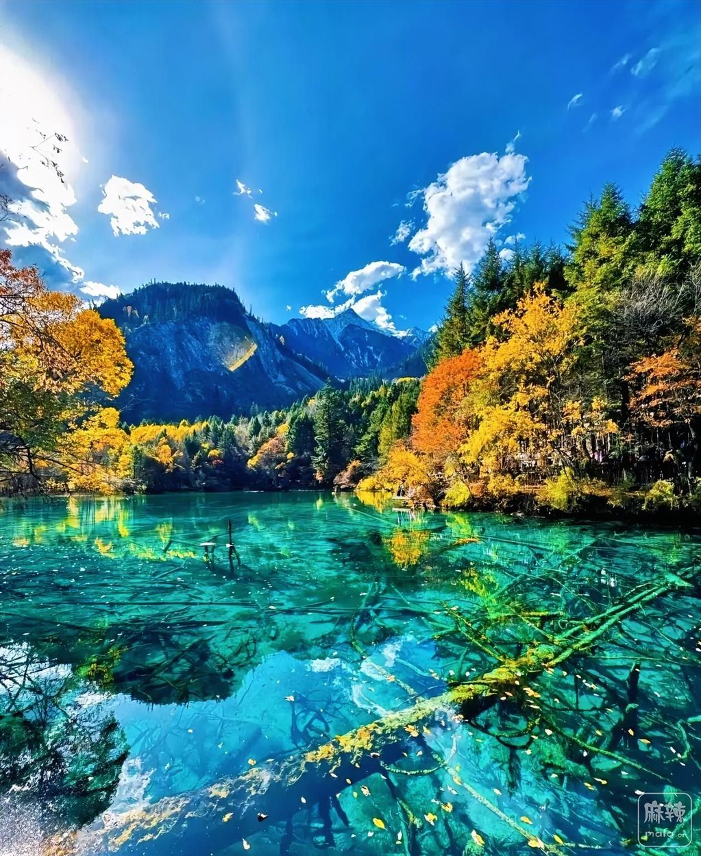 bc8eb0f8398145b9b3bdfdd6642165e2~tplv-obj:1260:1538.image