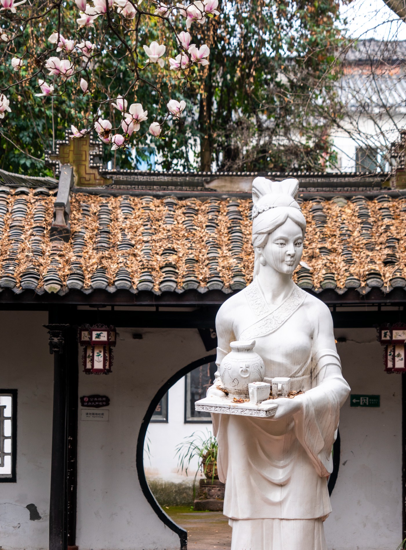 DSC00136 ����.jpg