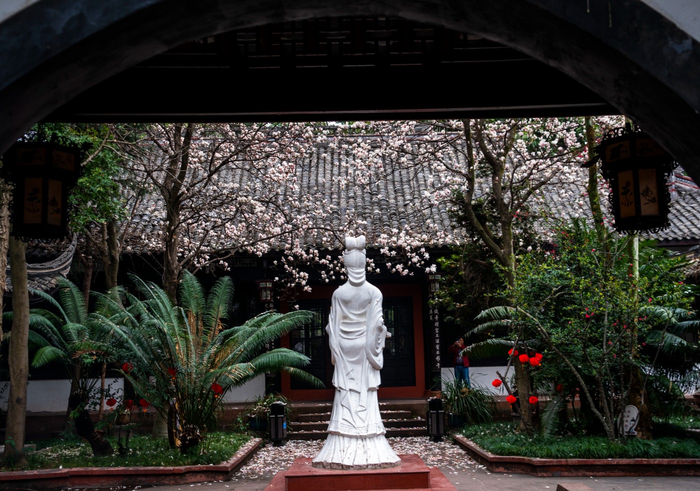 DSC00130 ����.jpg