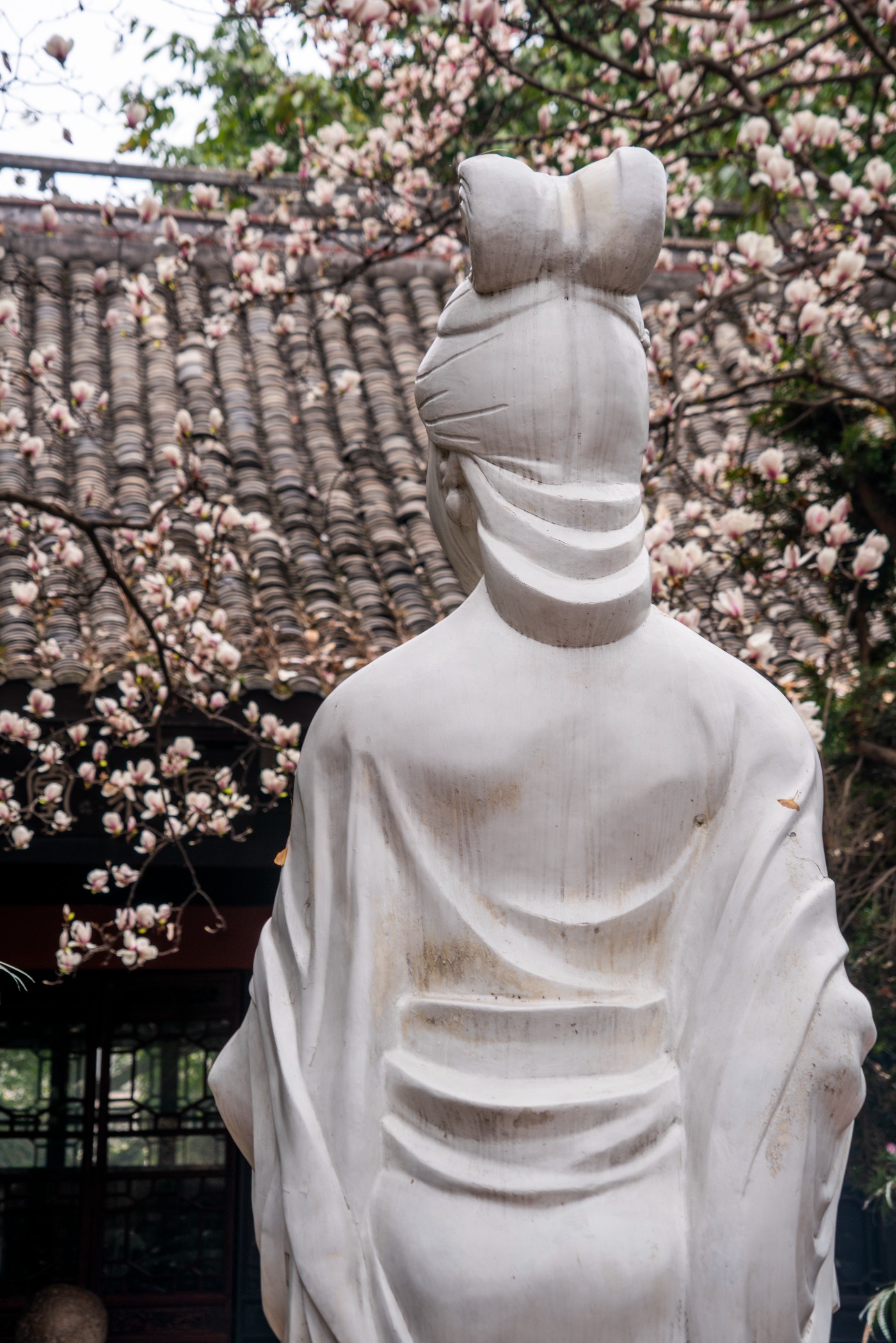 DSC00124 ����.jpg