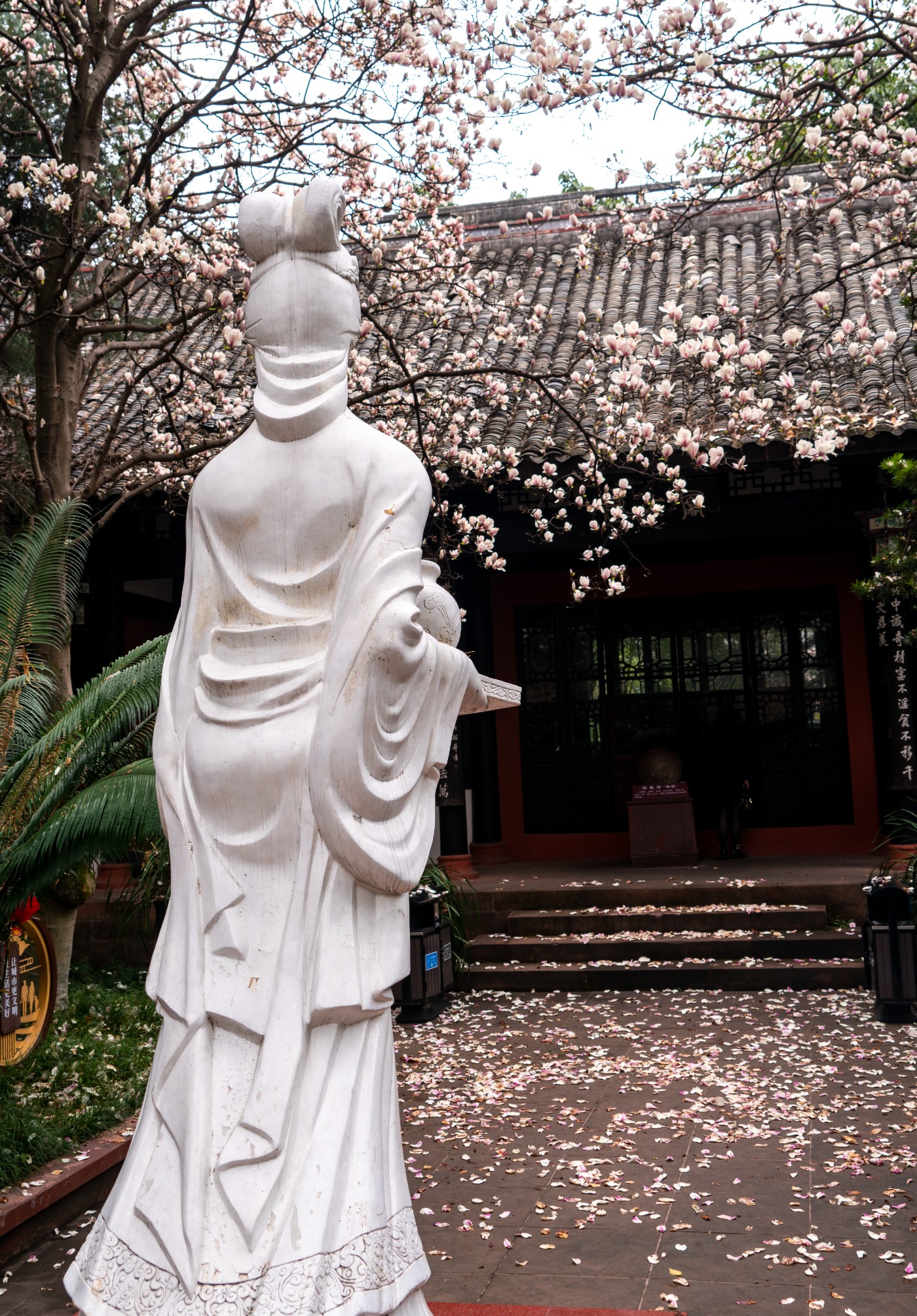 DSC00123 ����.jpg