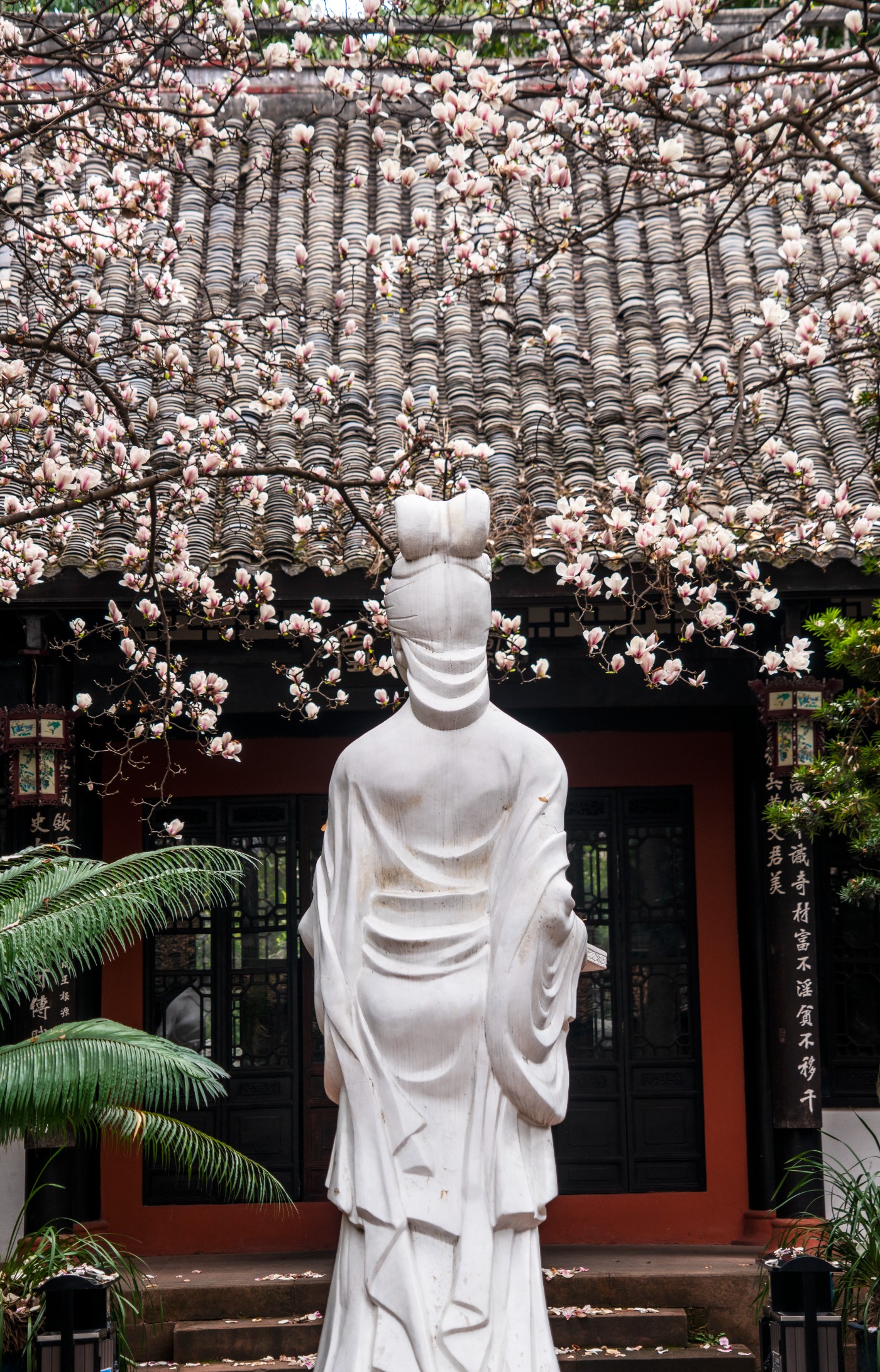 DSC00132 ����.jpg