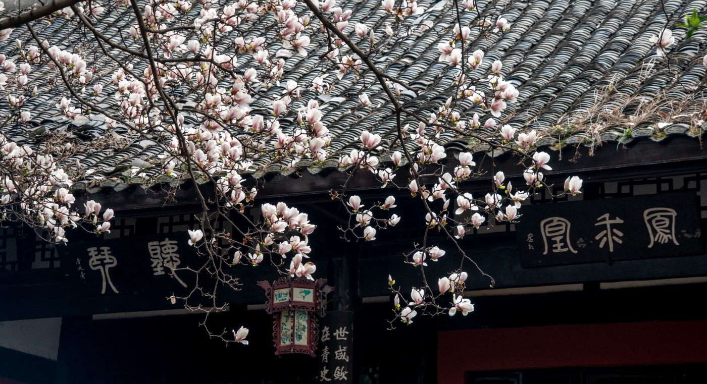 DSC00121 ����.jpg