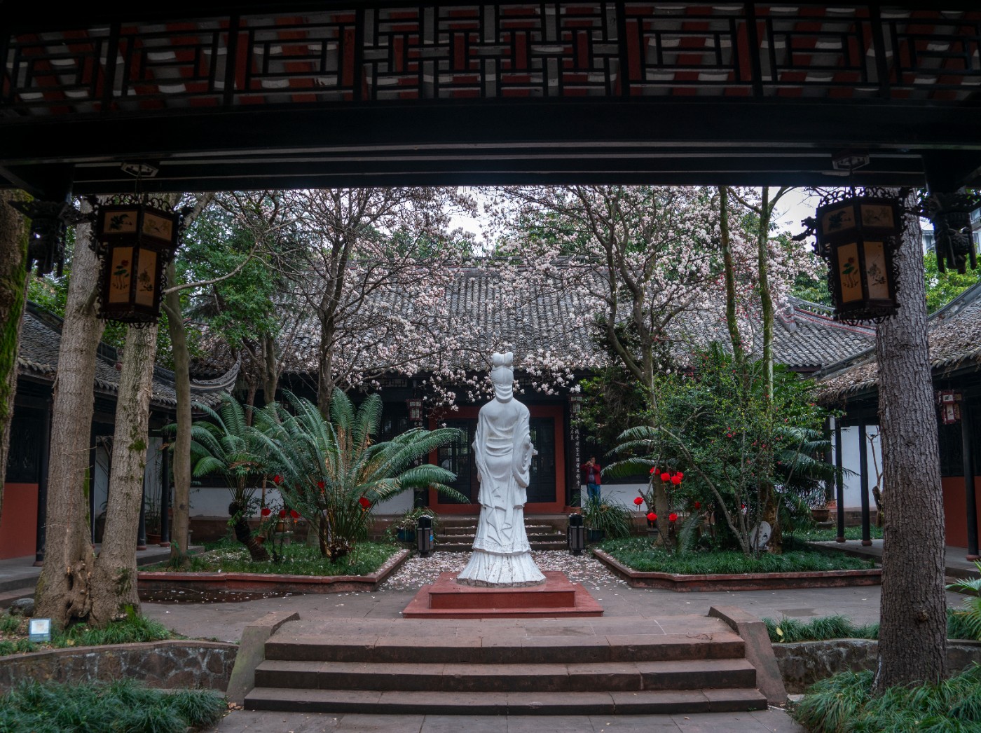 DSC00131 ����.jpg