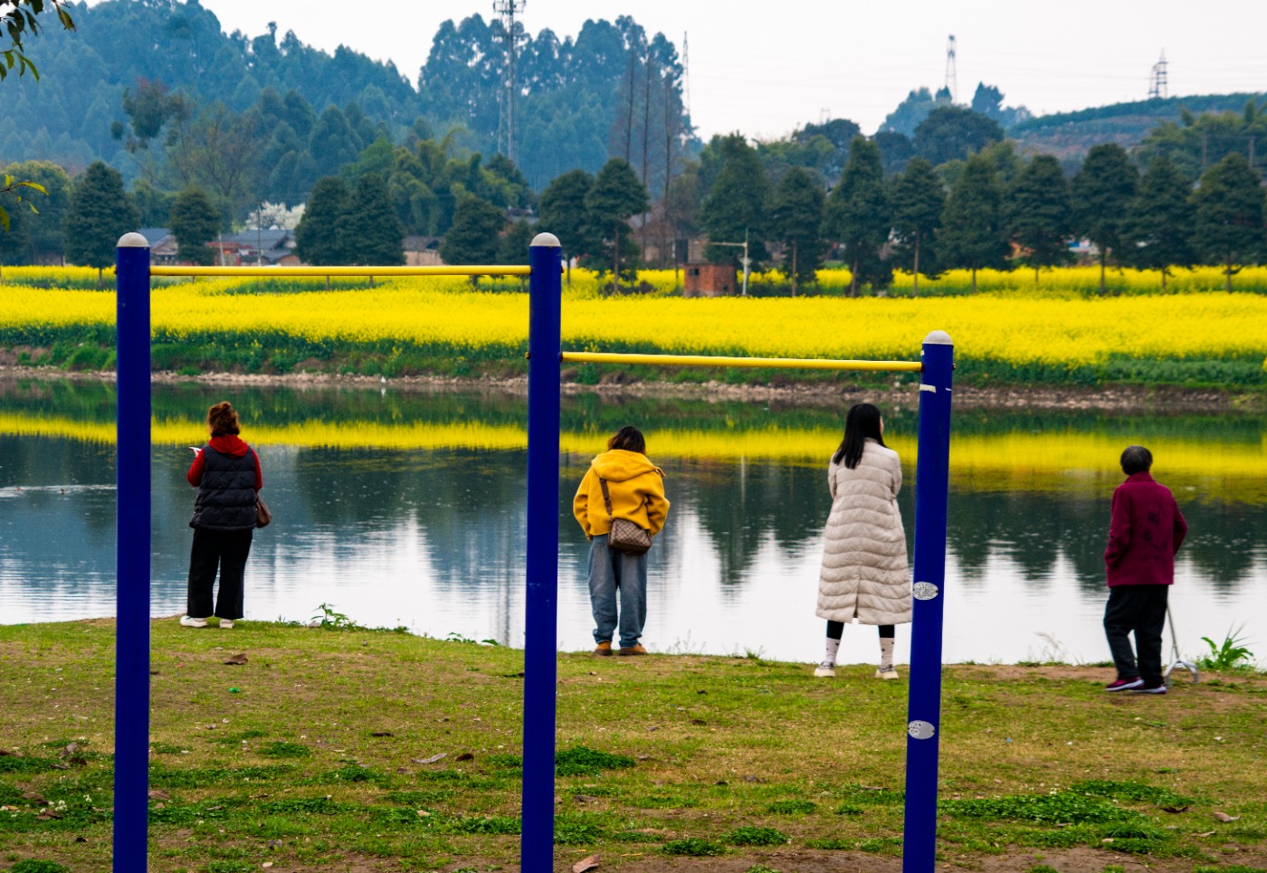 DSC00196 ����.jpg