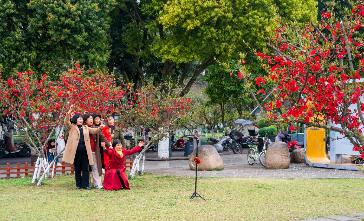 DSC00151 ����.jpg