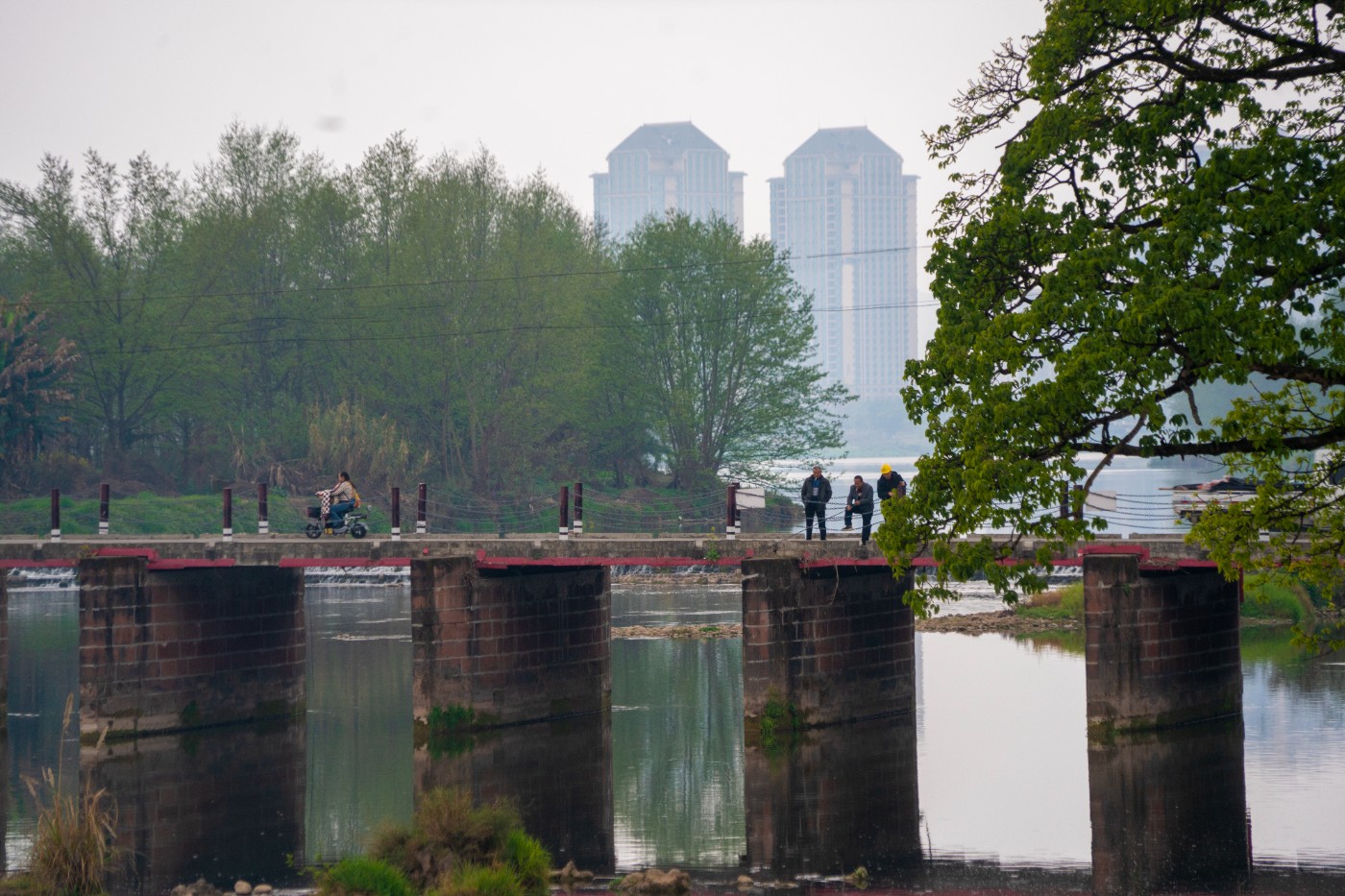 DSC00168 ����.jpg