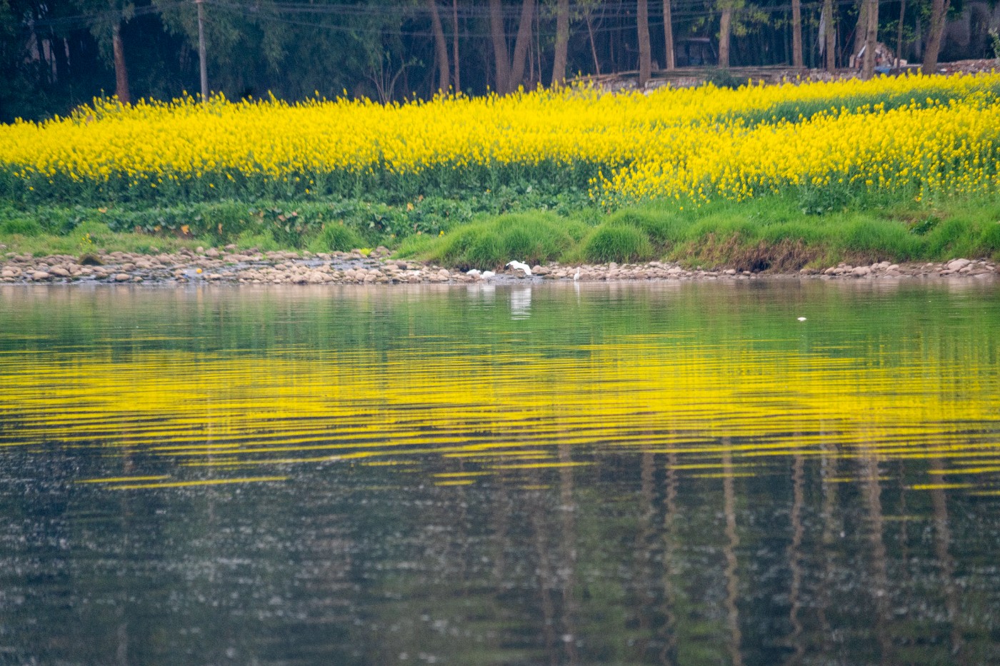 DSC00178 ����.jpg