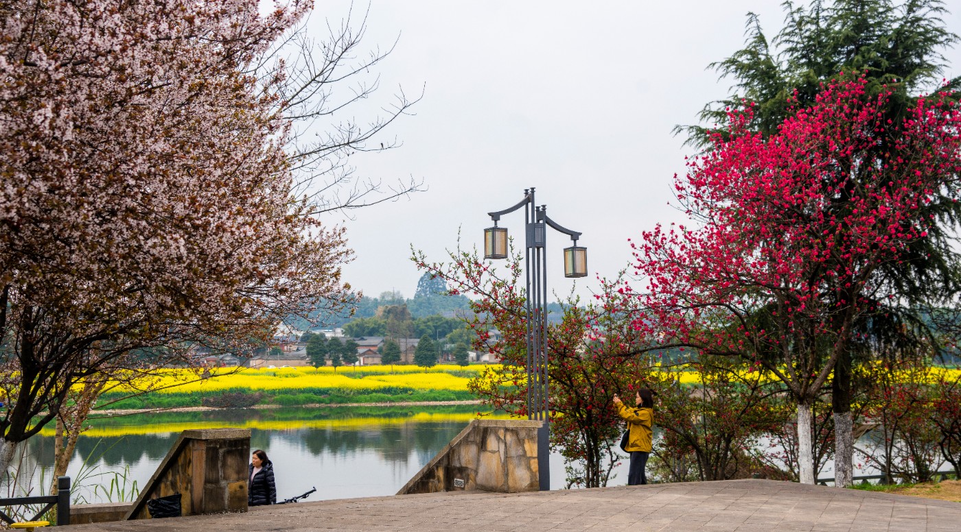 DSC00214 ����.jpg