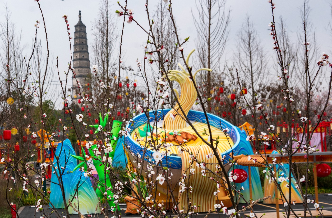 DSC00224 ����.jpg