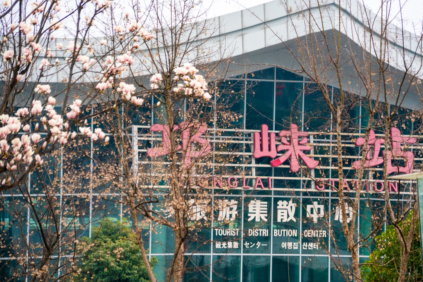 DSC00236 ����.jpg