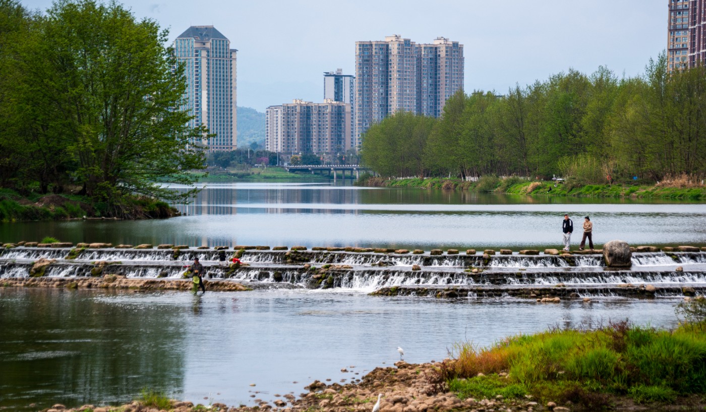 DSC00347 ����.jpg