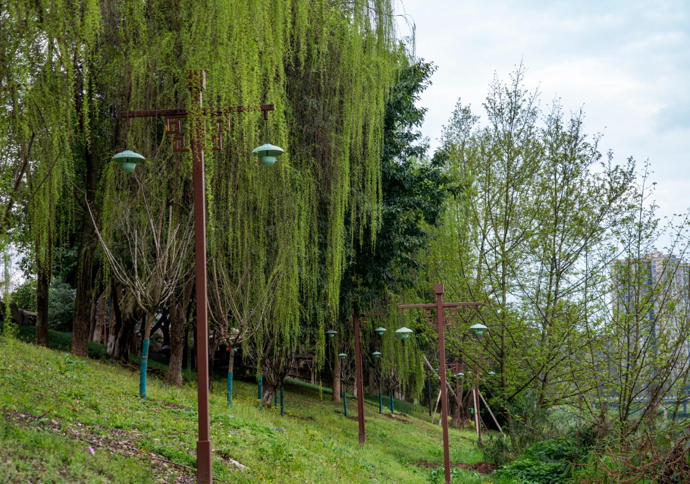 DSC00371 ����.jpg