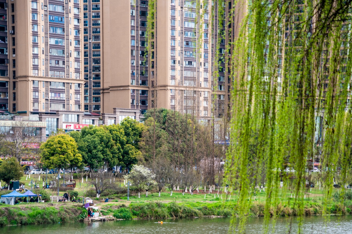 DSC00376 ����.jpg