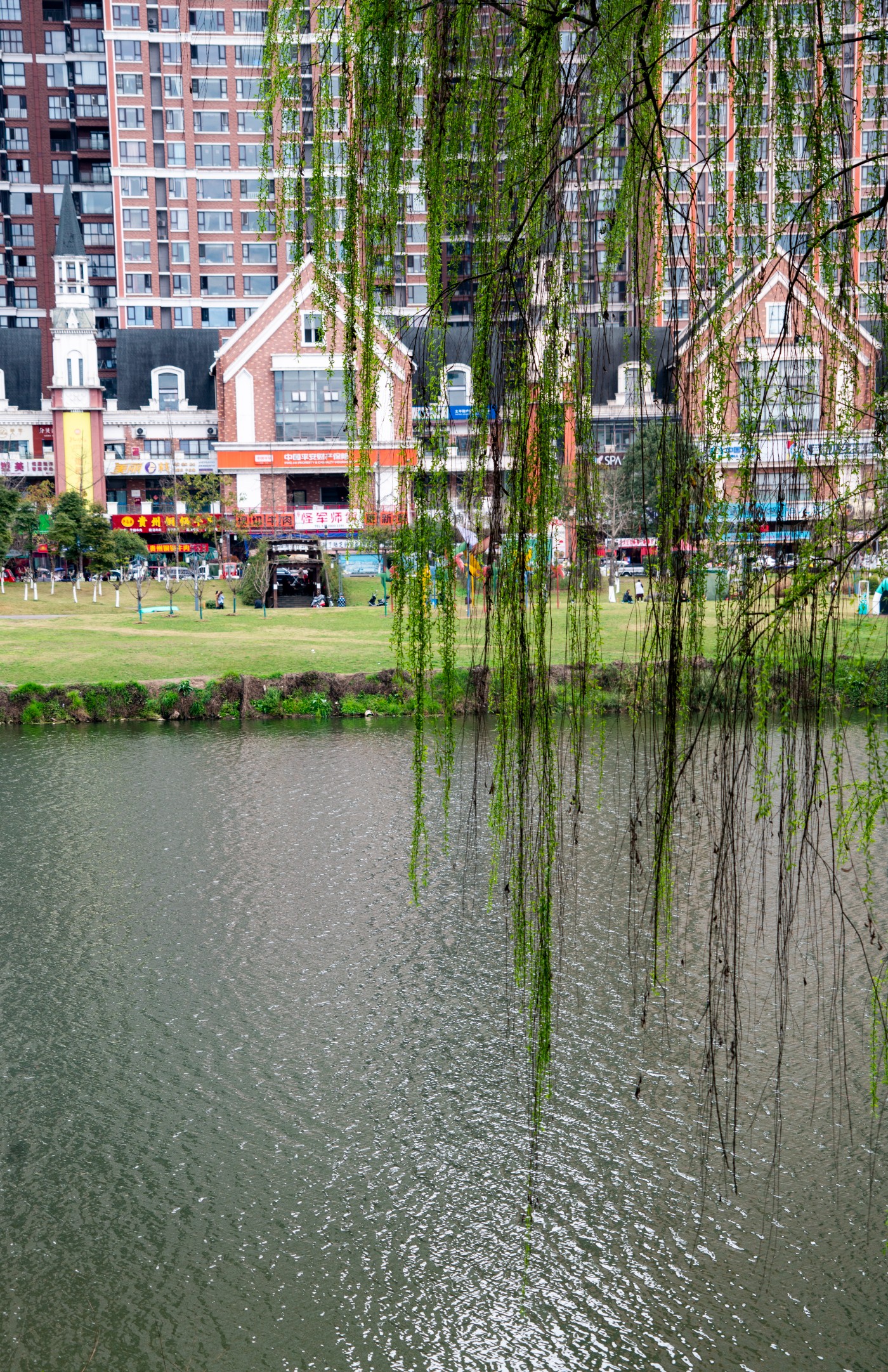 DSC00381 ����.jpg