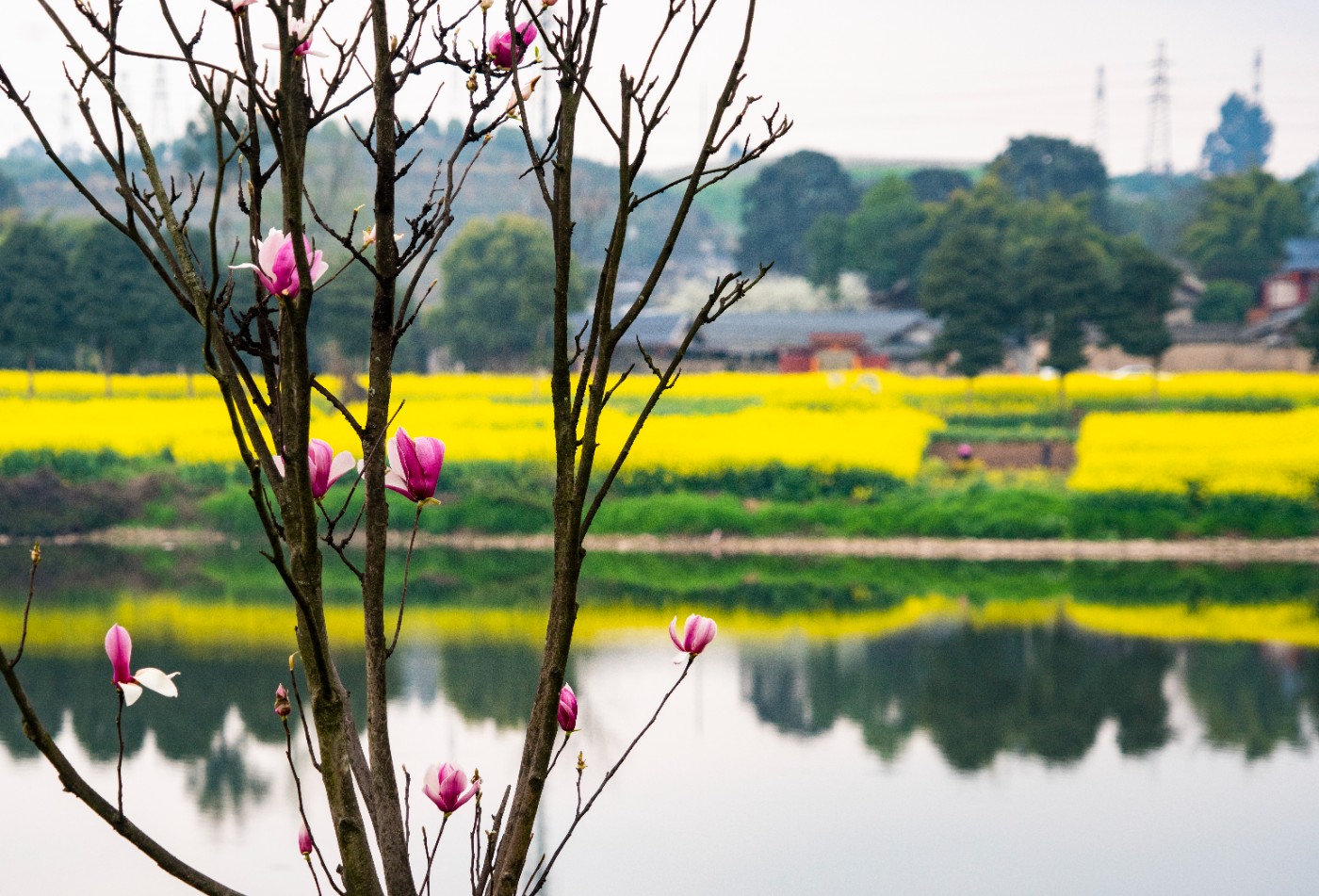 DSC00197 ����.jpg