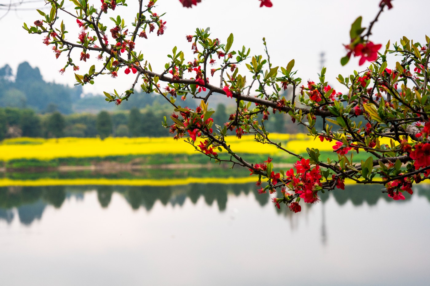 DSC00212 ����.jpg