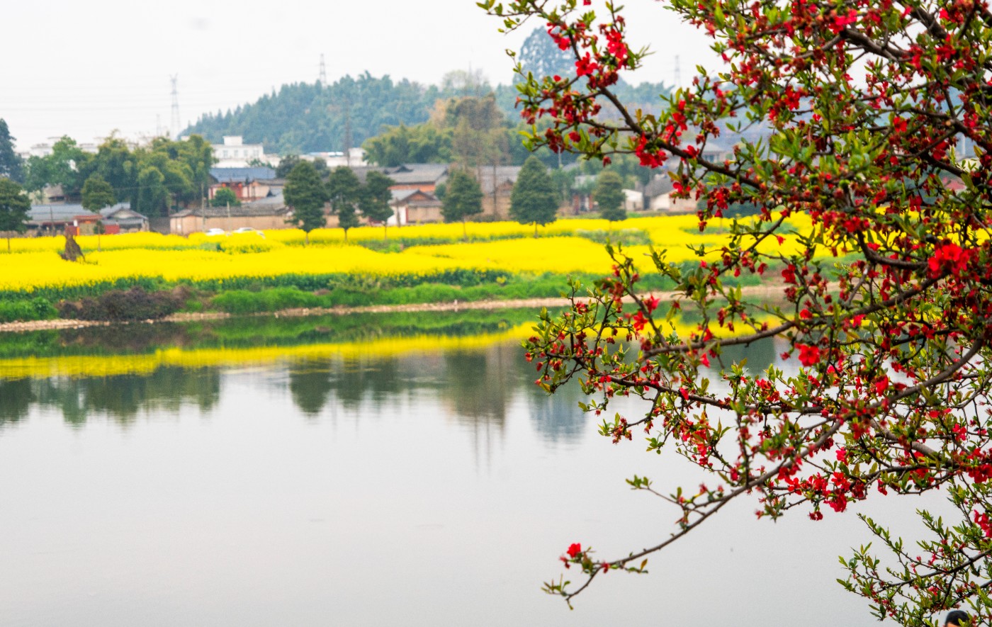 DSC00216 ����.jpg