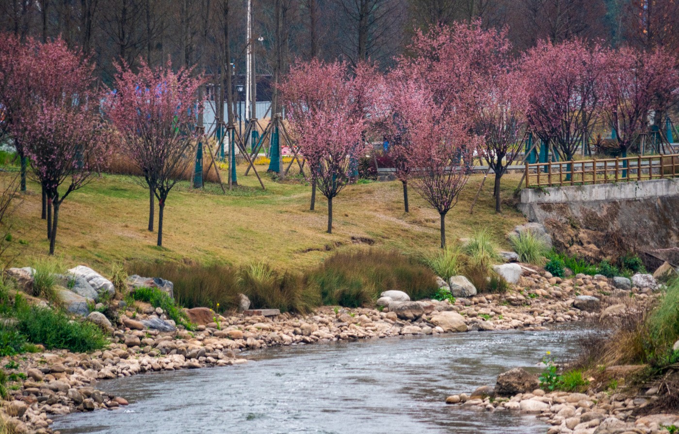 DSC00229 ����.jpg