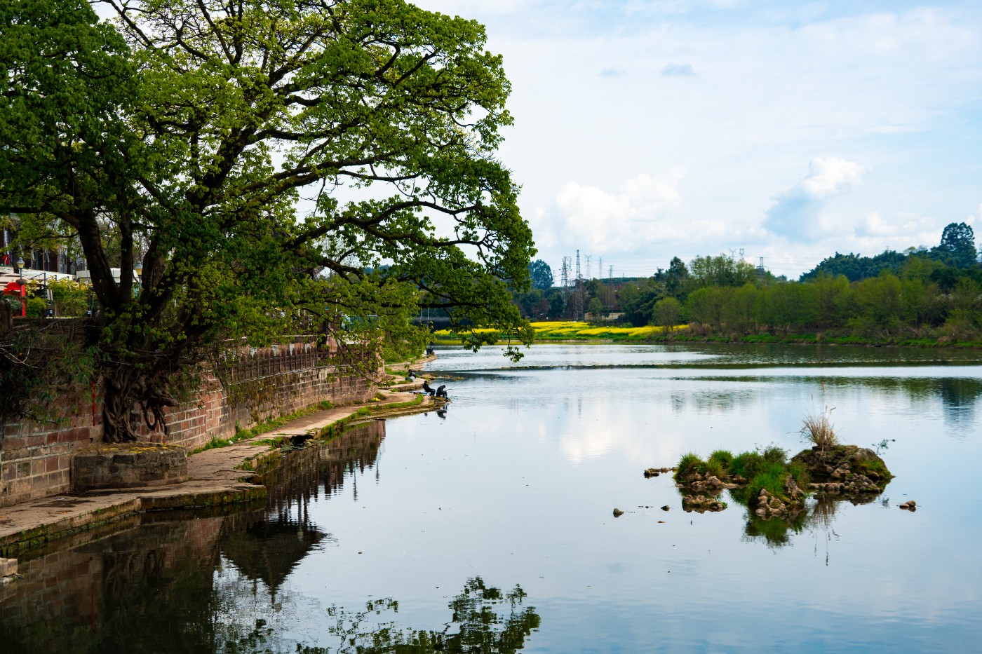 DSC00344 ����.jpg