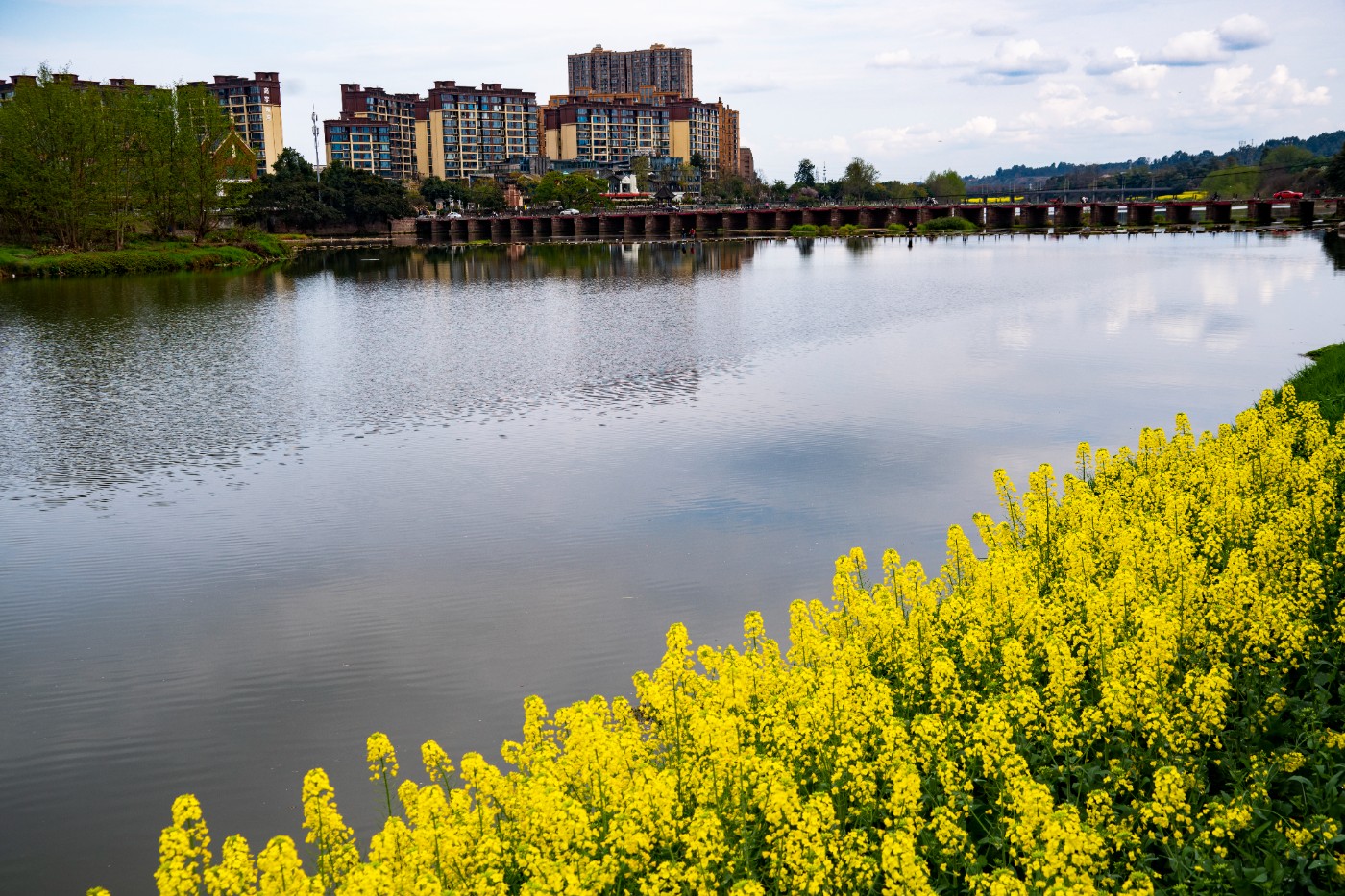 DSC00358 ����.jpg