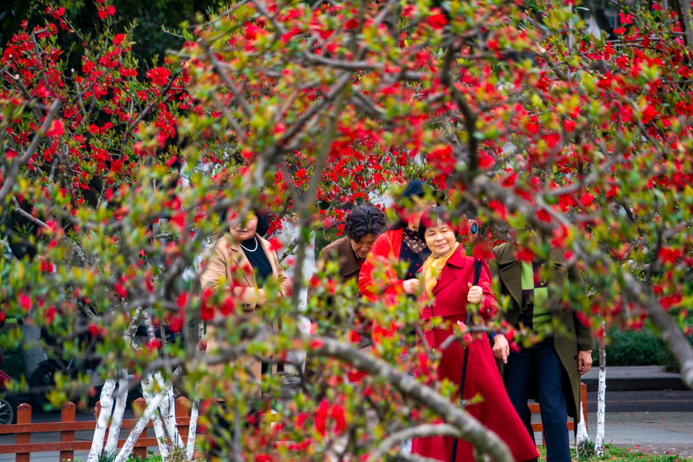 DSC00157 ����.jpg