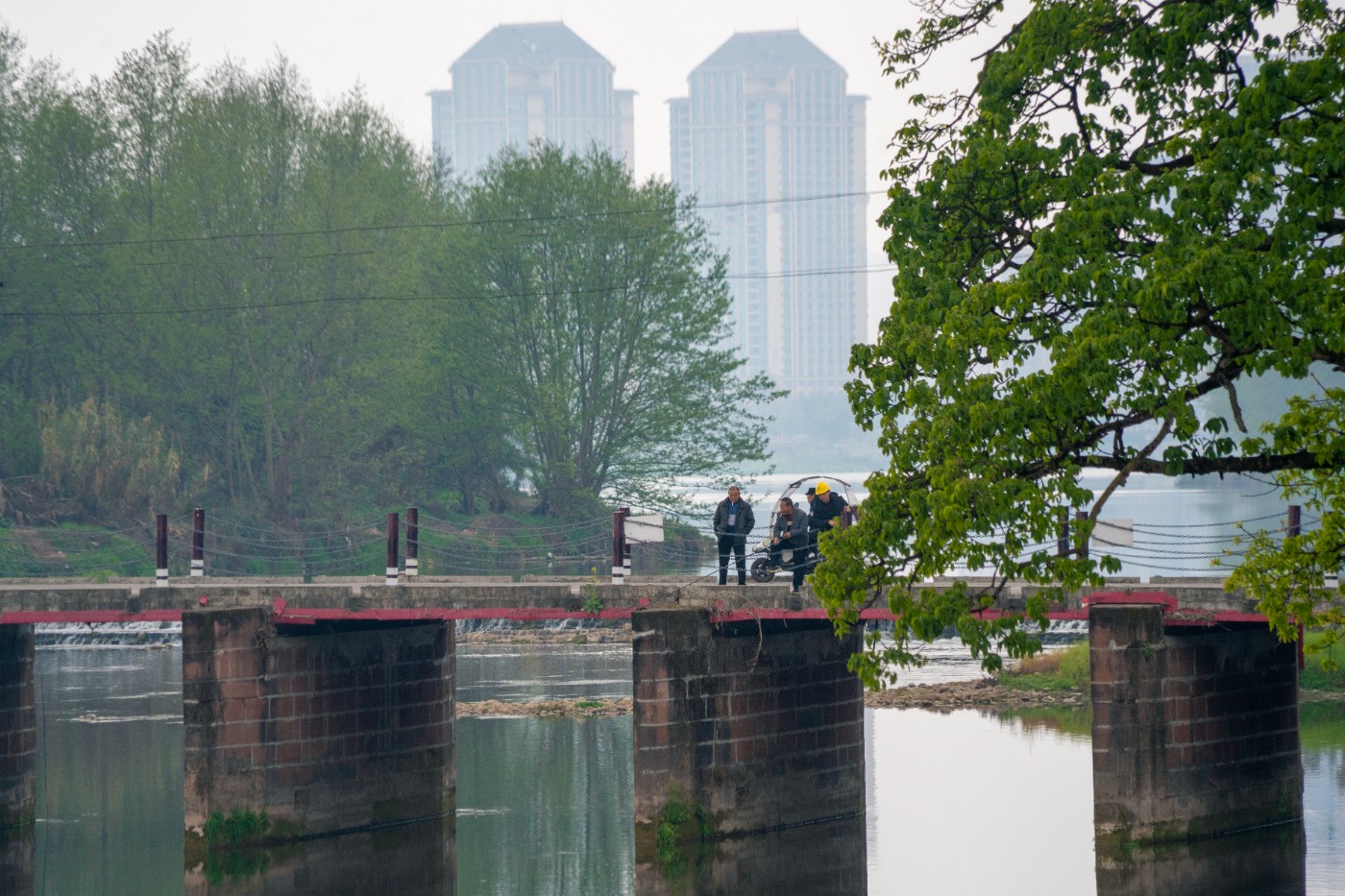 DSC00166 ����.jpg