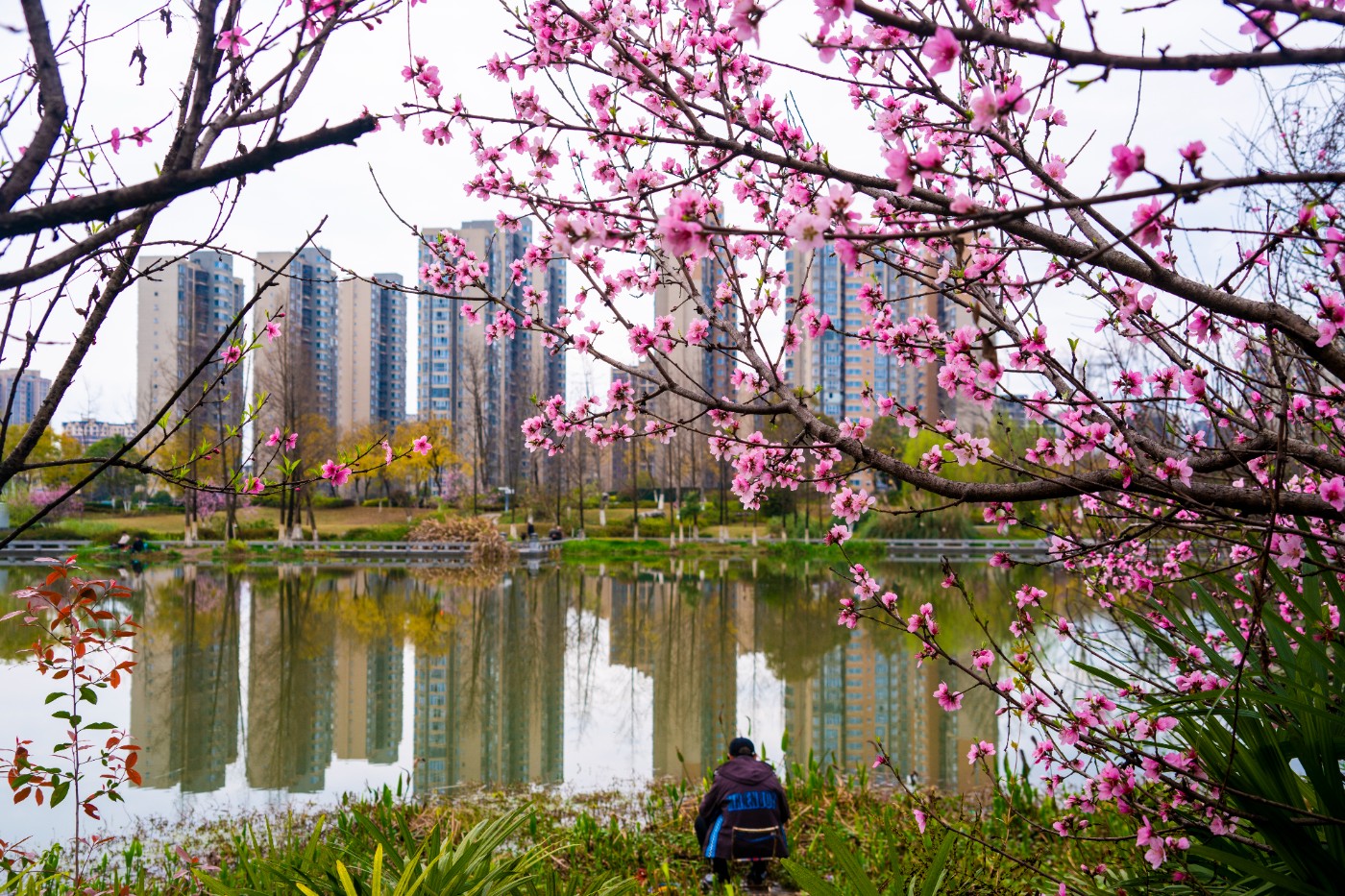 DSC00251 ����.jpg