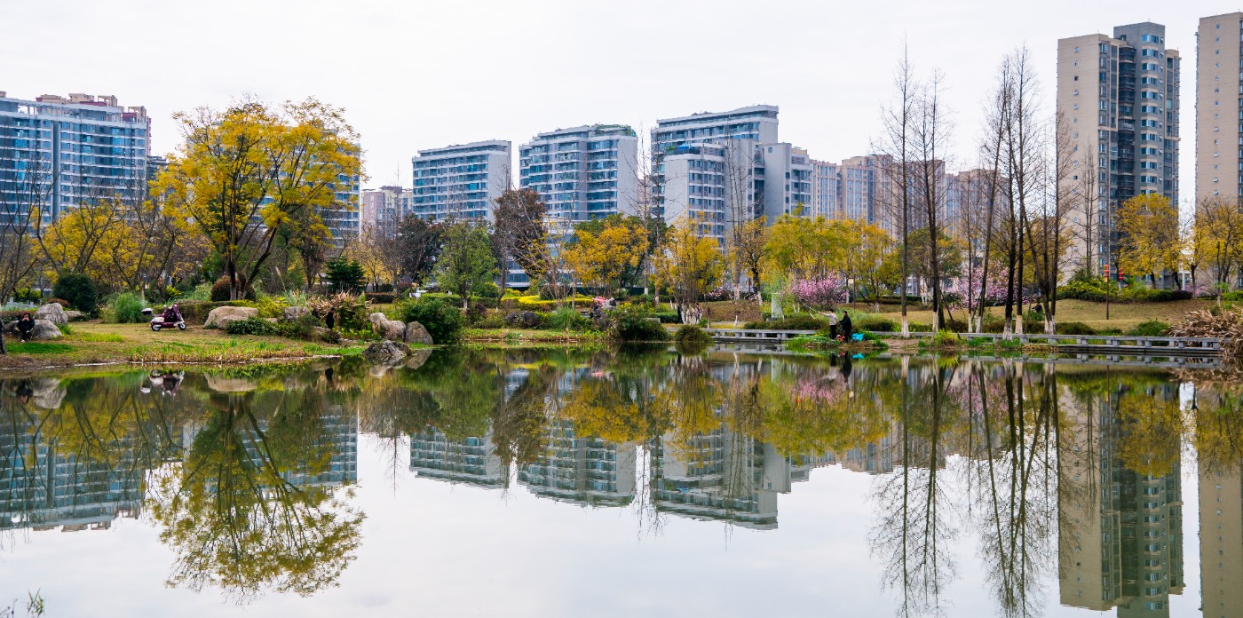 DSC00253 ����.jpg