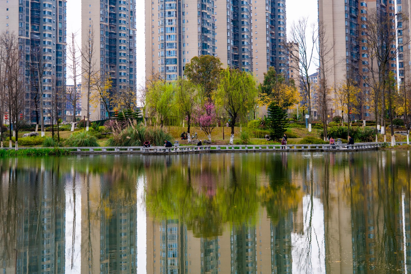 DSC00268 ����.jpg