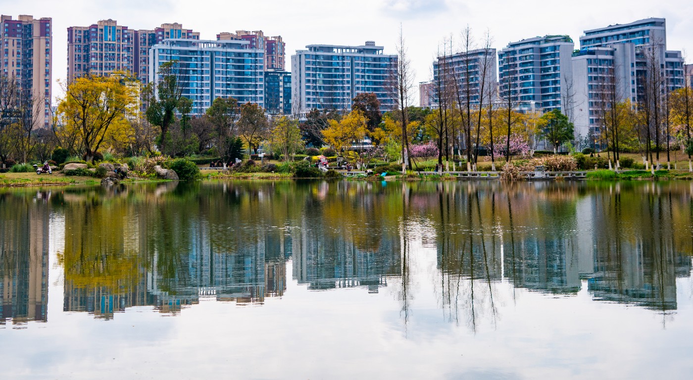 DSC00273 ����.jpg