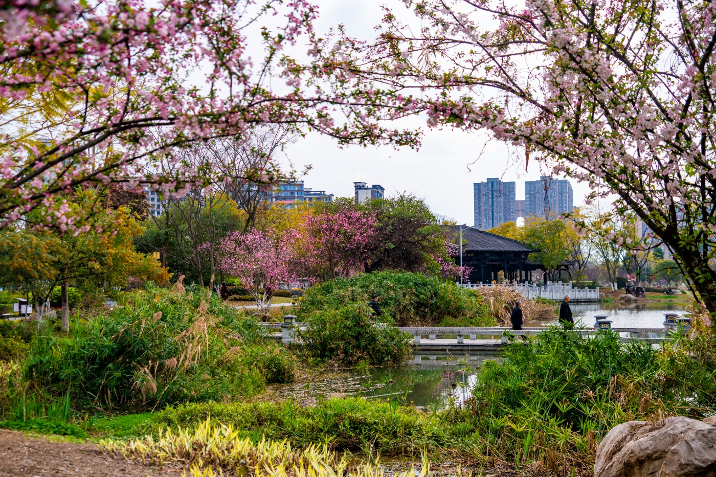 DSC00283 ����.jpg