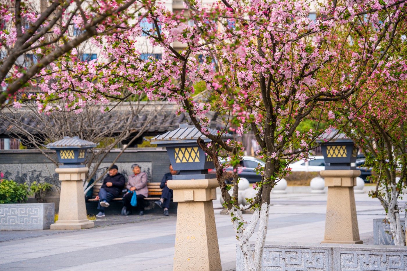 DSC00284 ����.jpg