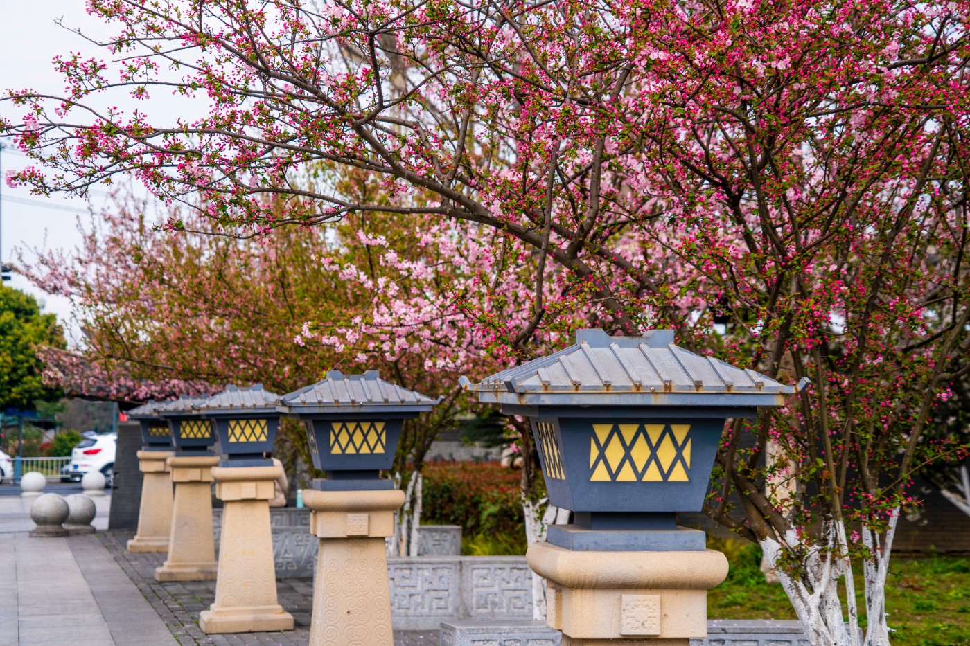 DSC00290 ����.jpg