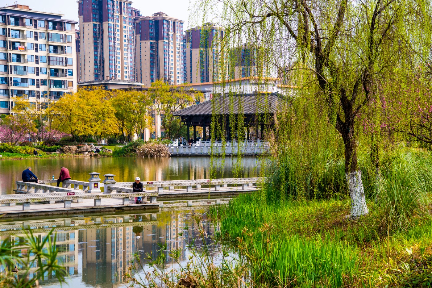 DSC00303 ����.jpg