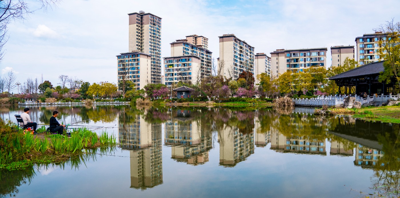 DSC00314 ����.jpg