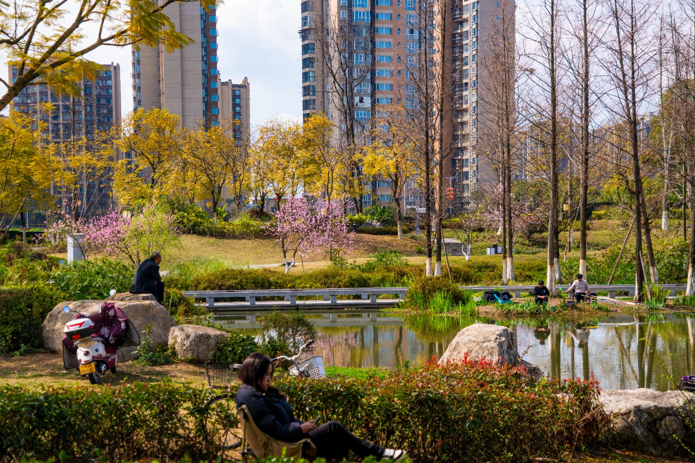 DSC00322 ����.jpg