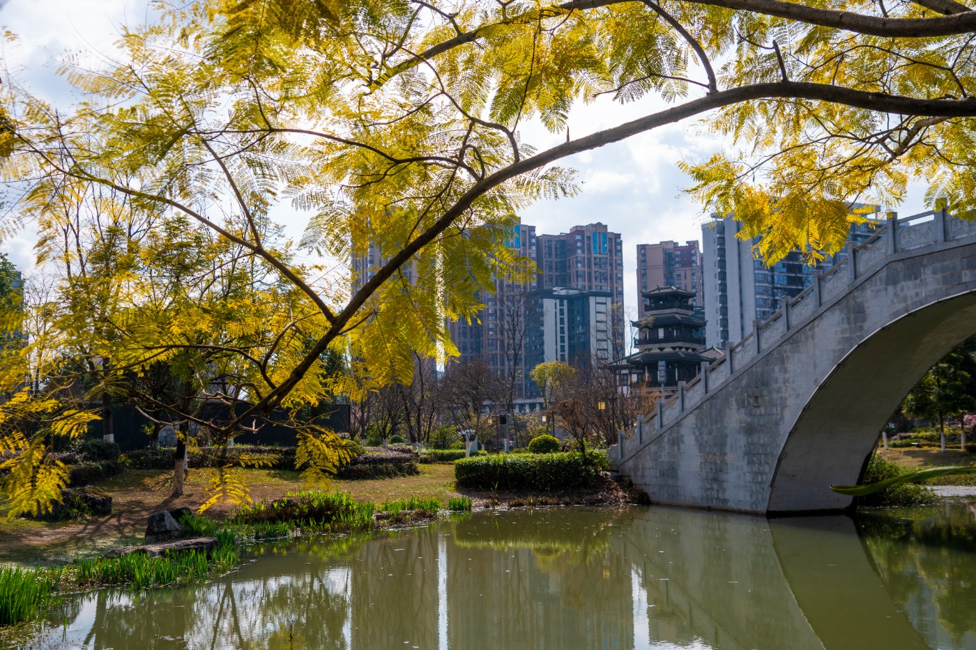 DSC00327 ����.jpg