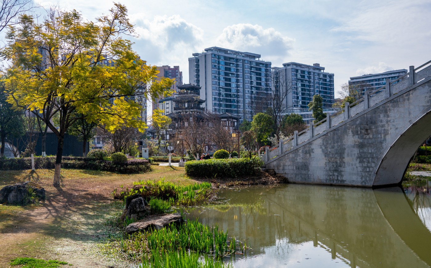 DSC00328 ����.jpg