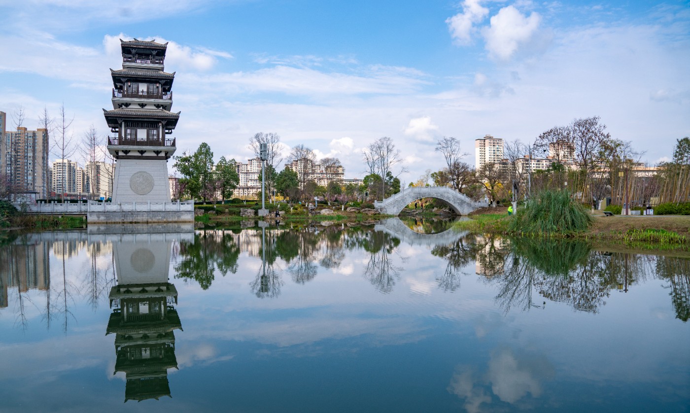 DSC00337 ����.jpg