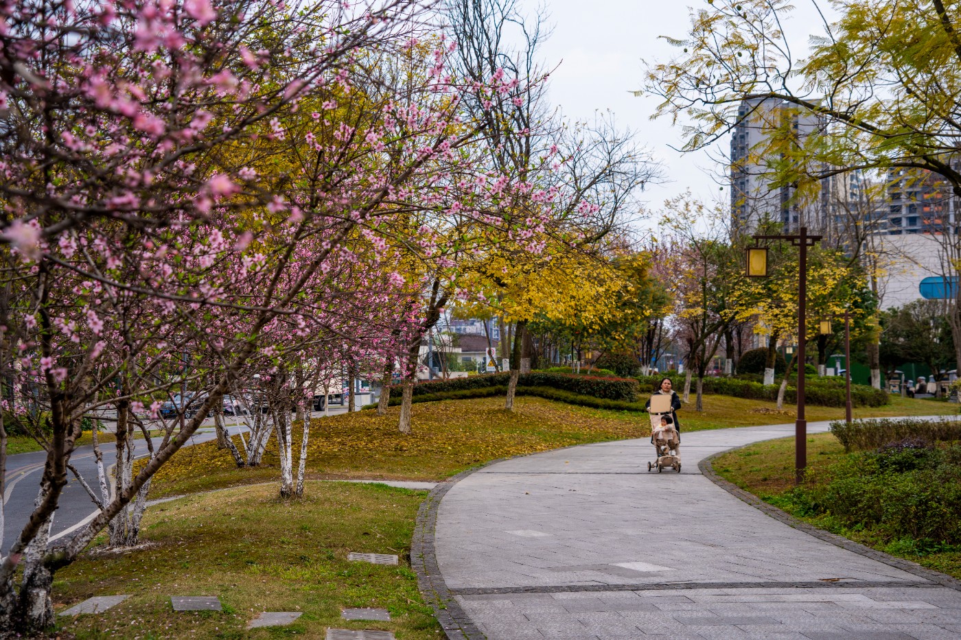 DSC00258 ����.jpg