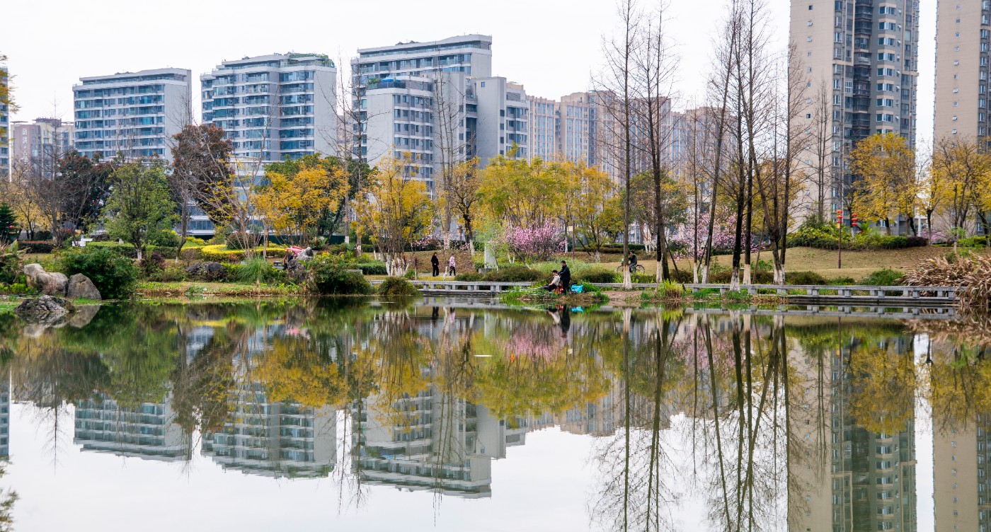 DSC00254 ����.jpg