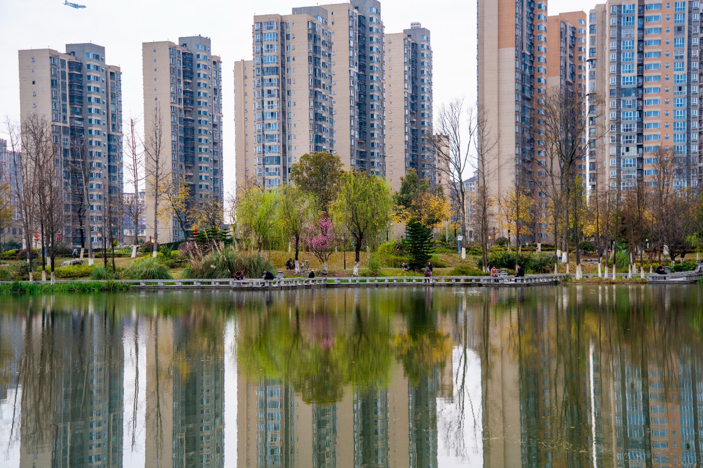 DSC00267 ����.jpg