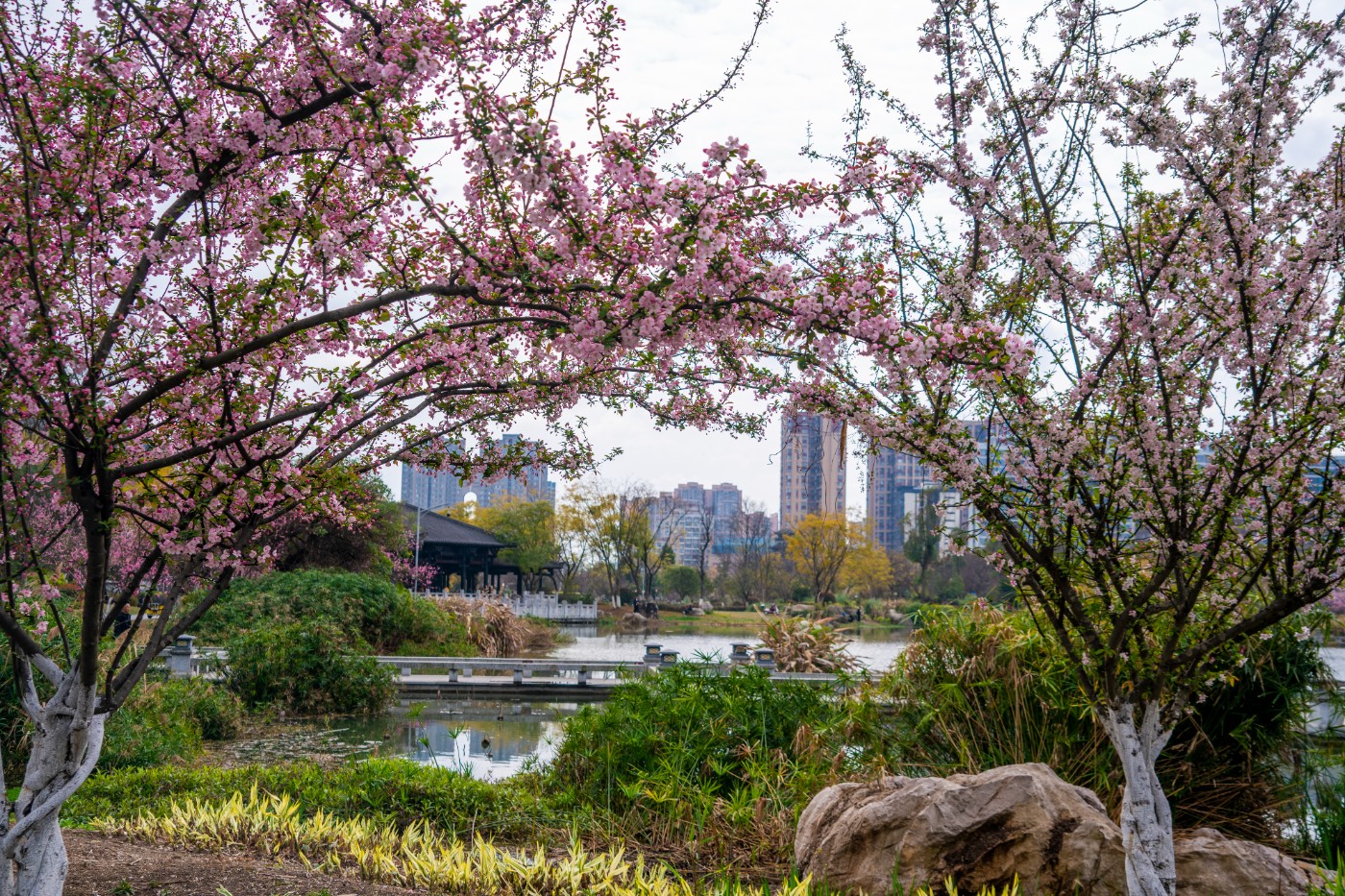 DSC00281 ����.jpg