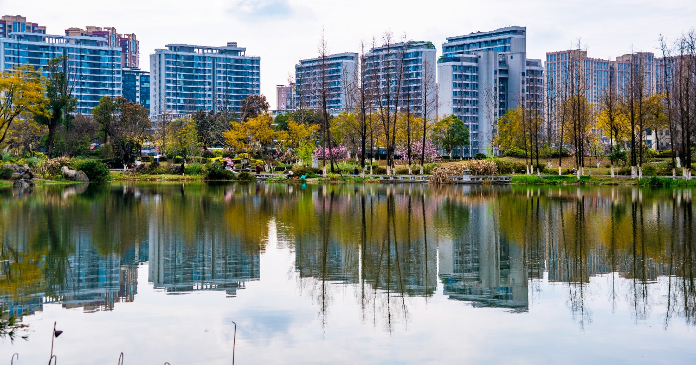 DSC00271 ����.jpg