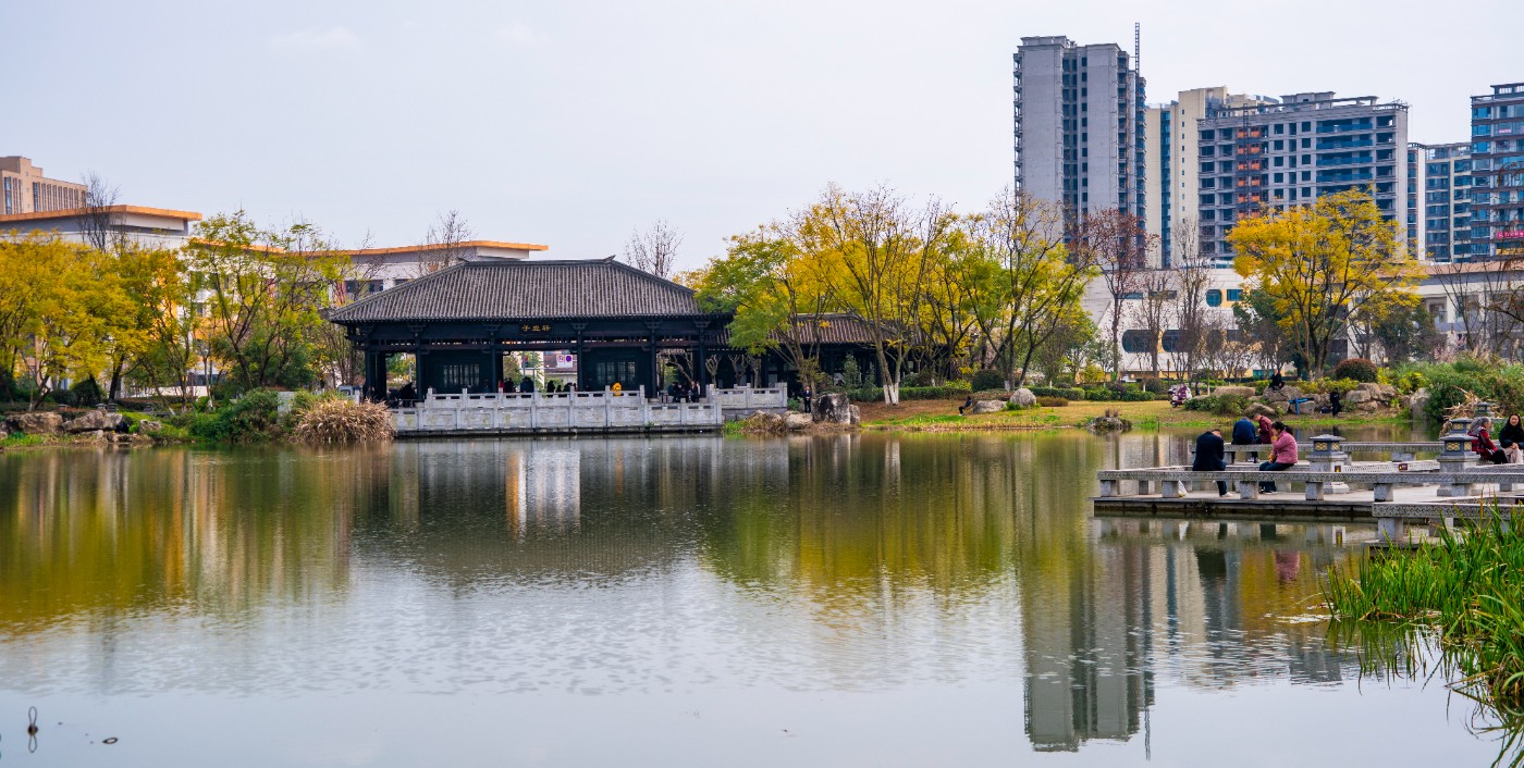 DSC00295 ����.jpg